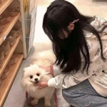 gg助手修改器下载